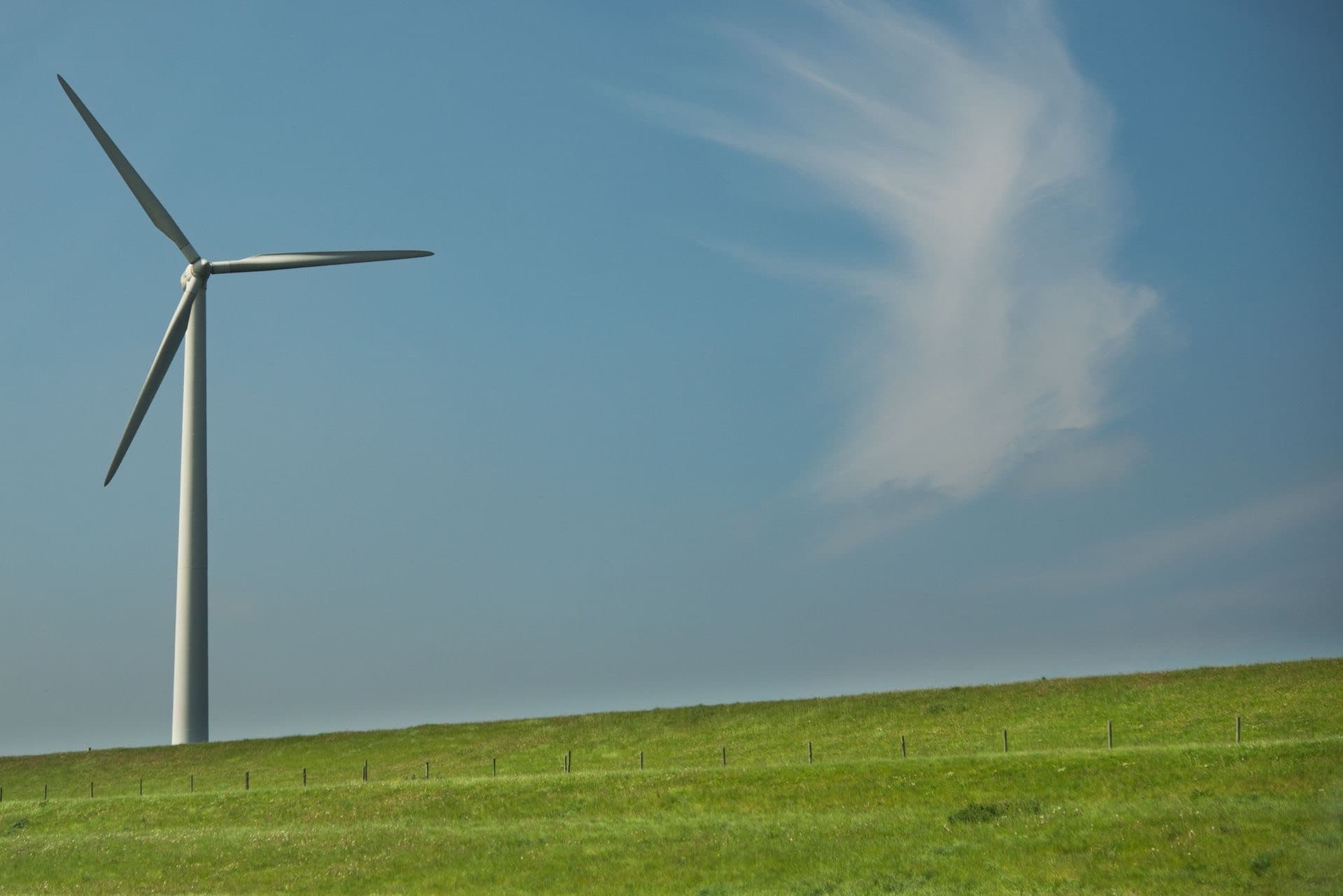Wind turbine on a green field under a blue sky